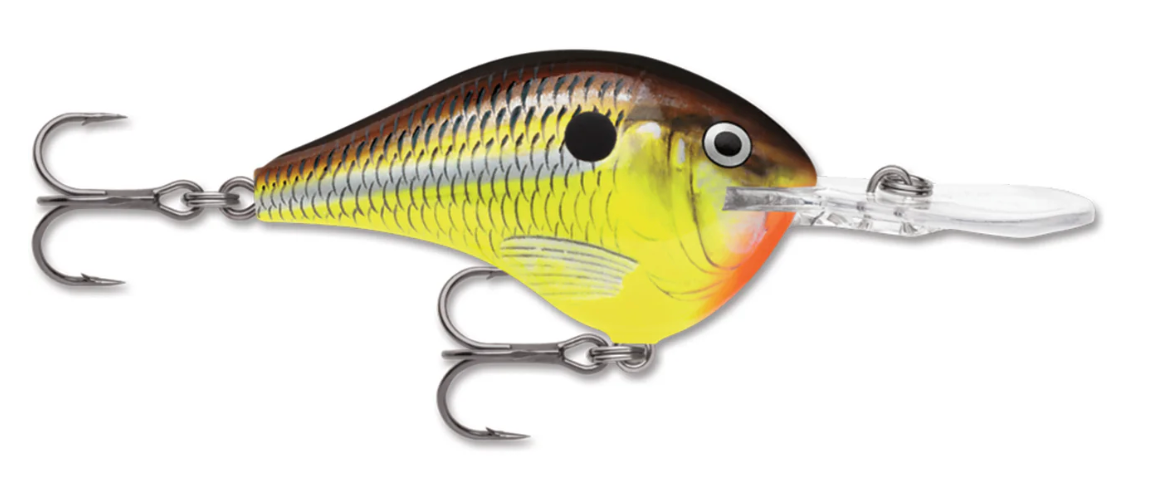 Crankbaits - RAPALA DT