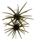 Spikey Ball