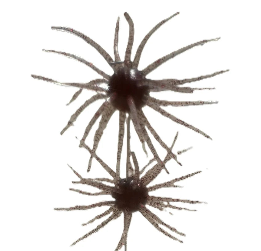 Spikey Ball