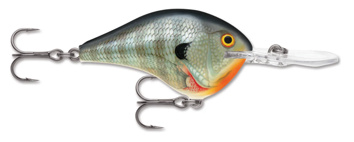 RAPALA DT - BLUEGILL