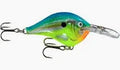 Rapala DT Parrot