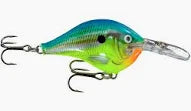 Rapala DT Parrot