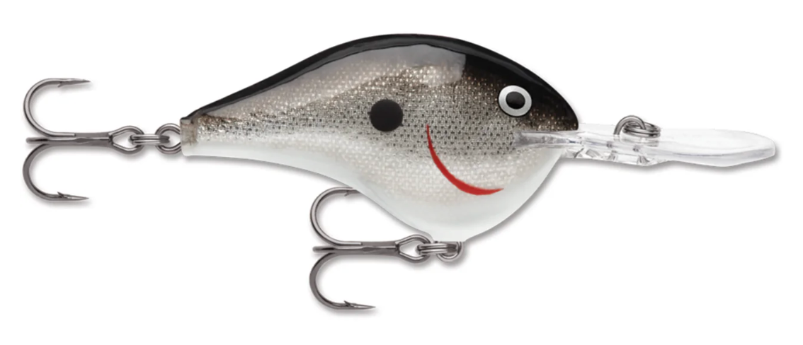 RAPALA DT - SILVER