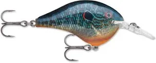 Rapala DT Live Pumpkinseed