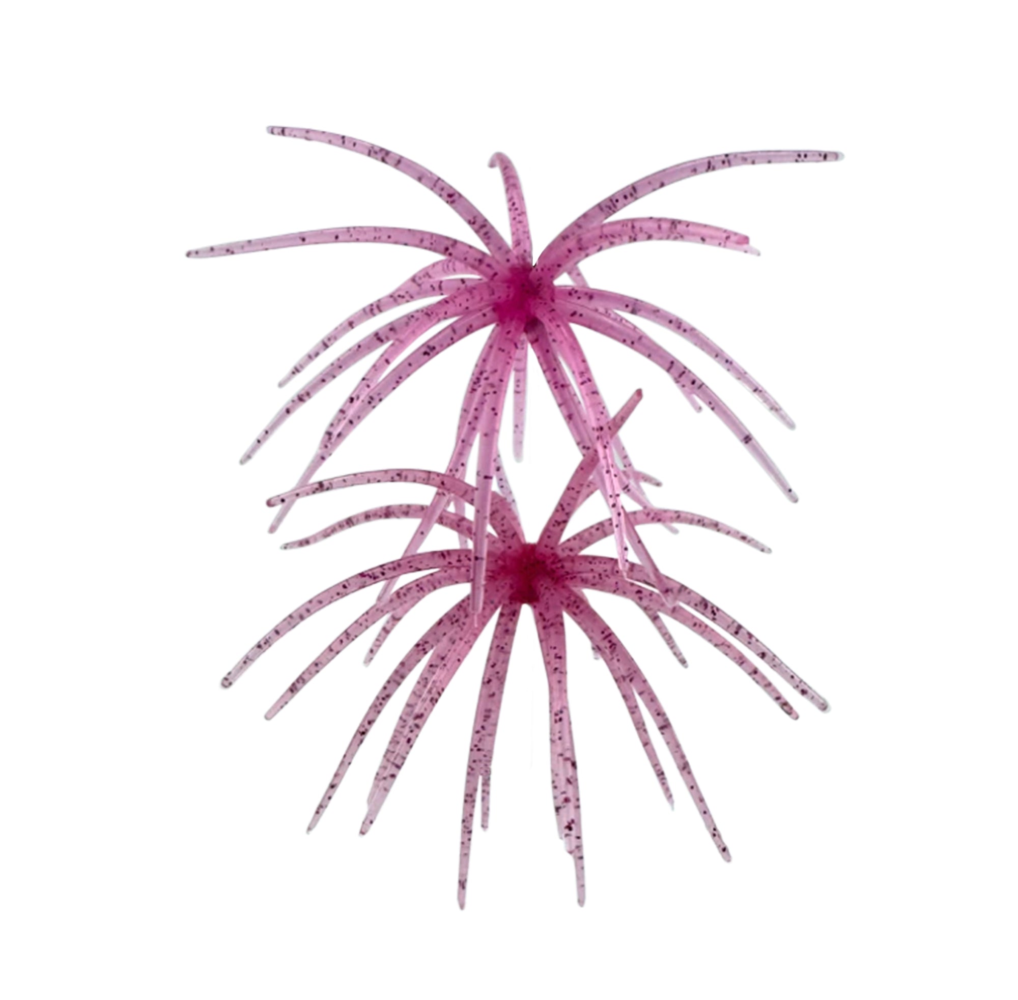 Arsenal Morning Star Urchins