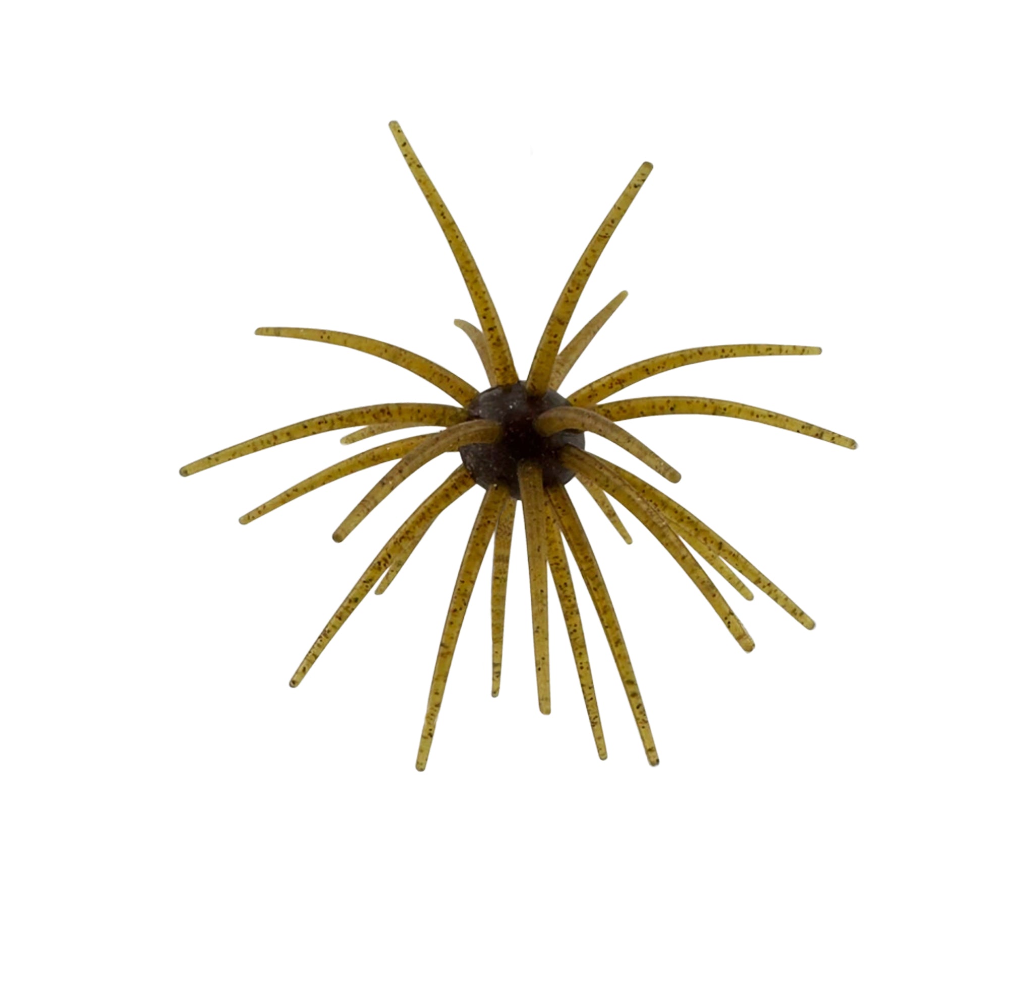Arsenal Morning Star Urchins