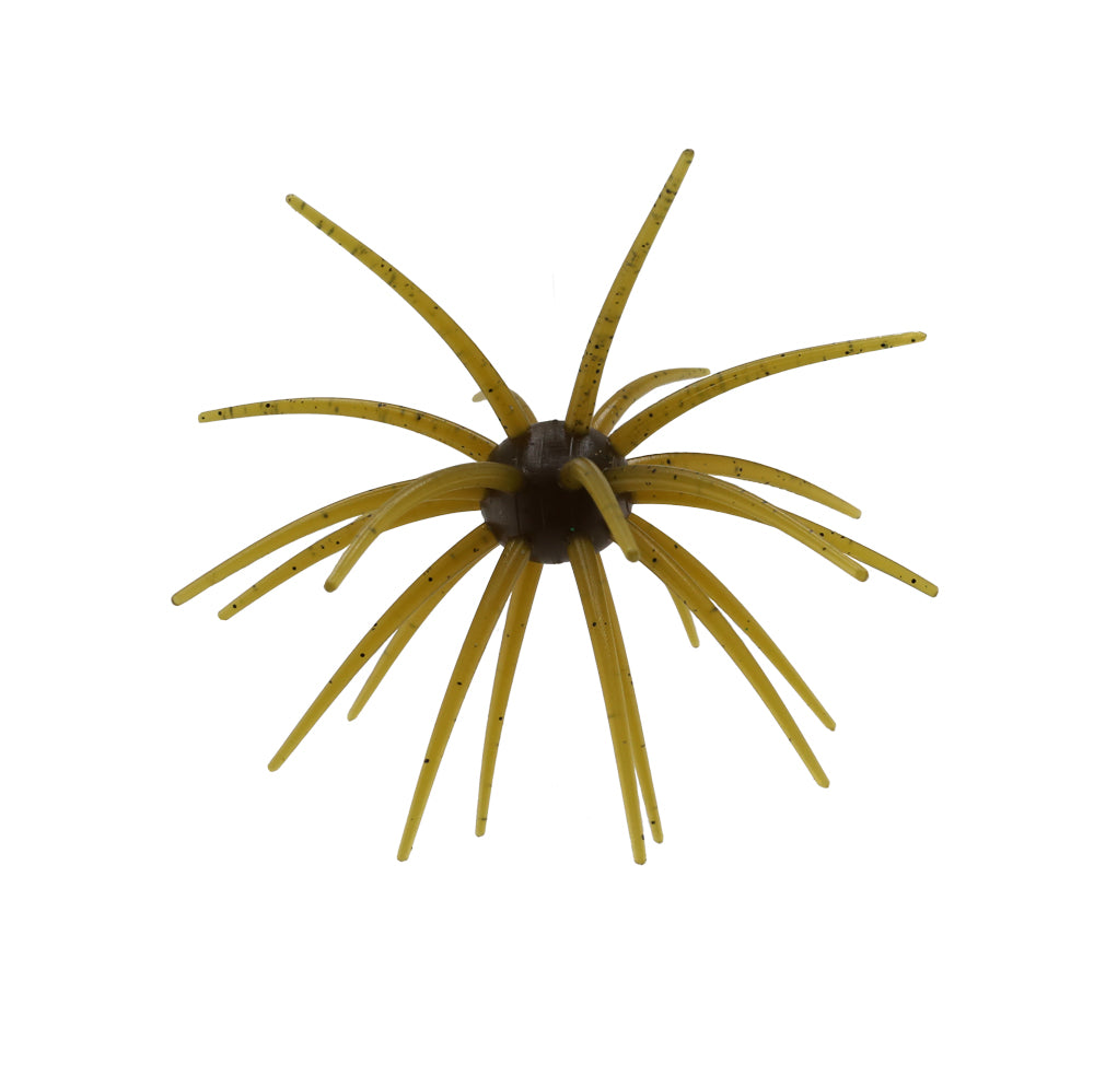 Arsenal Morning Star Urchins
