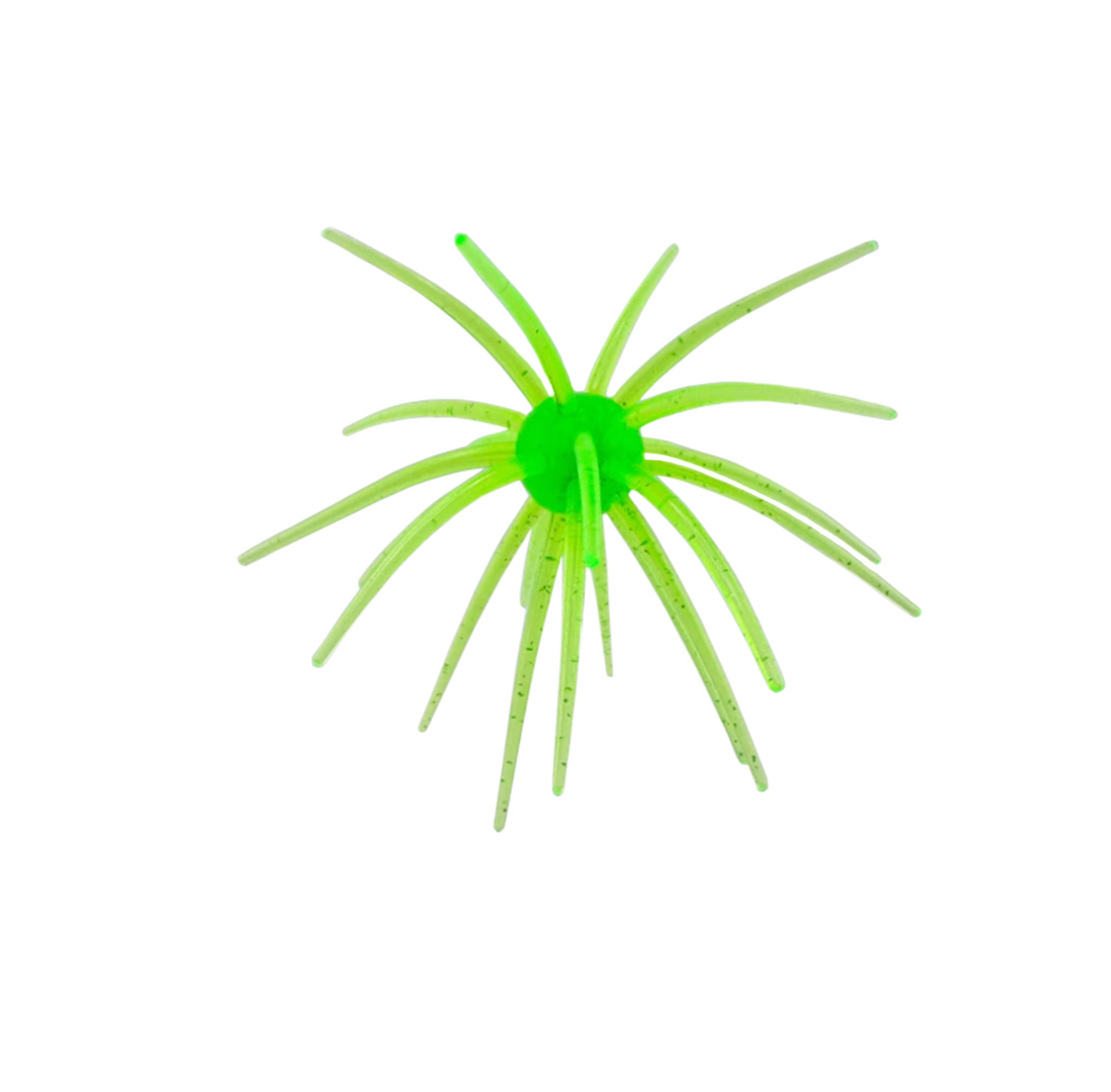 Arsenal Morning Star Urchins
