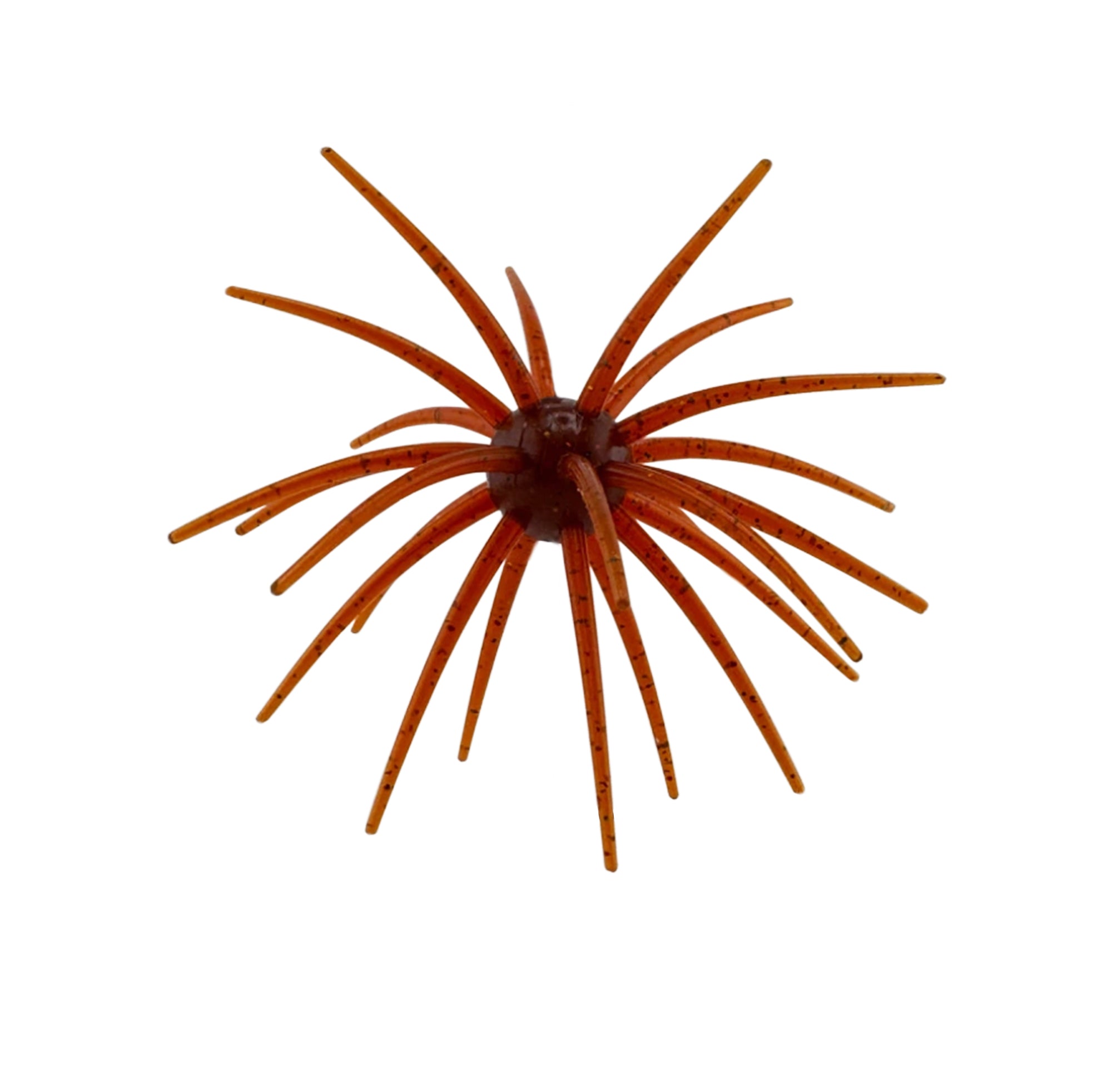 Arsenal Morning Star Urchins
