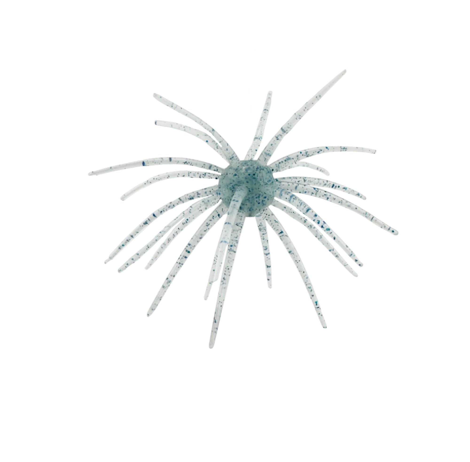 Arsenal Morning Star Urchins